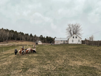 Being a Good Neighbor: Tips for Country Living Image